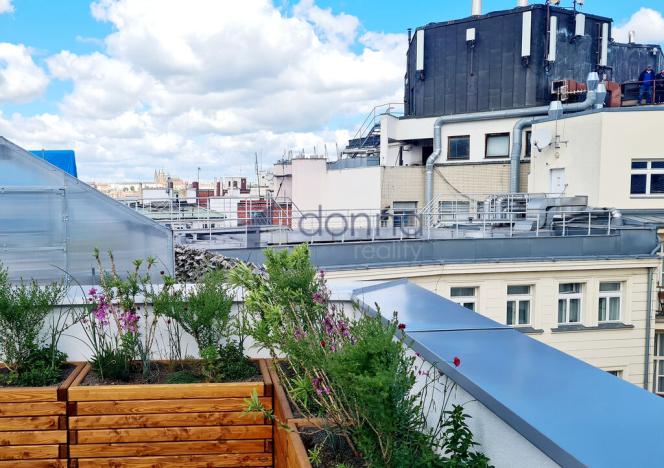 Pronájem obchodního prostoru, Praha - Nové Město, Václavské náměstí, 511 m2