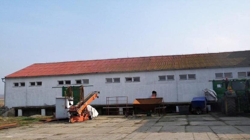 Prodej zemědělského objektu, Brniště - Velký Grunov, 7741 m2