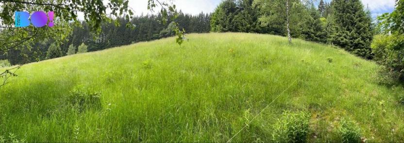 Prodej lesa, Staré Hamry, 2393 m2