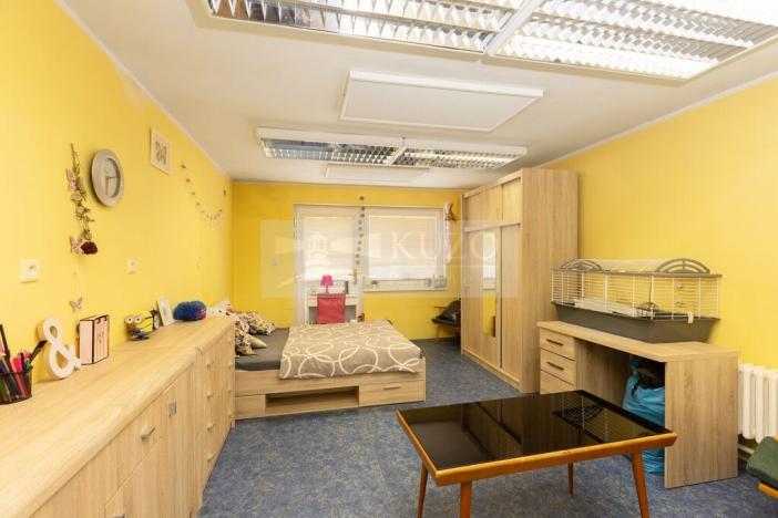 Prodej rodinného domu, Mladá Boleslav, Pod ořechy, 200 m2