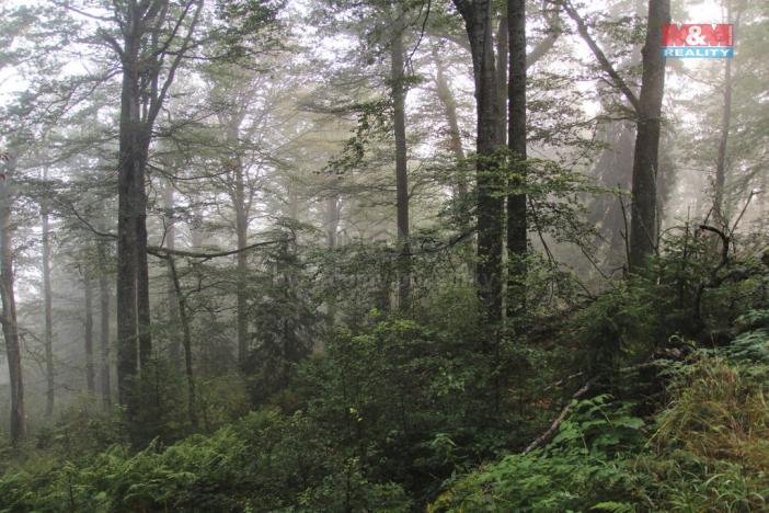 Prodej pozemku, Nýdek, 2119 m2