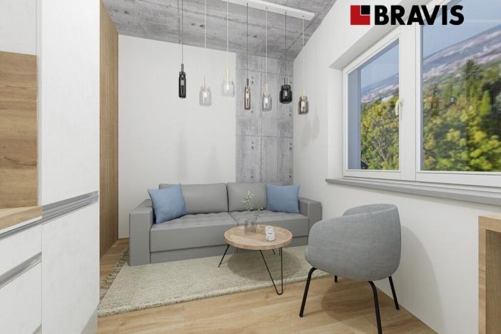 Prodej ubytování, Brno - Horní Heršpice, Bohunická, 33 m2