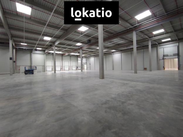 Pronájem skladu, Kozomín, 1895 m2