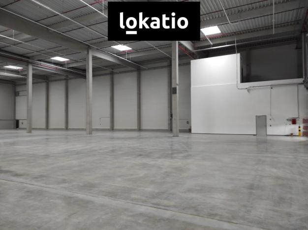 Pronájem skladu, Kozomín, 1895 m2