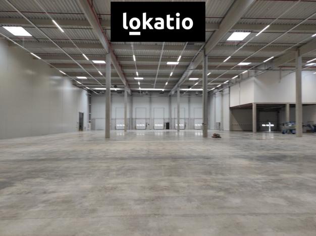 Pronájem skladu, Kozomín, 7420 m2