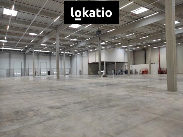 Pronájem skladu, Kozomín, 7420 m2