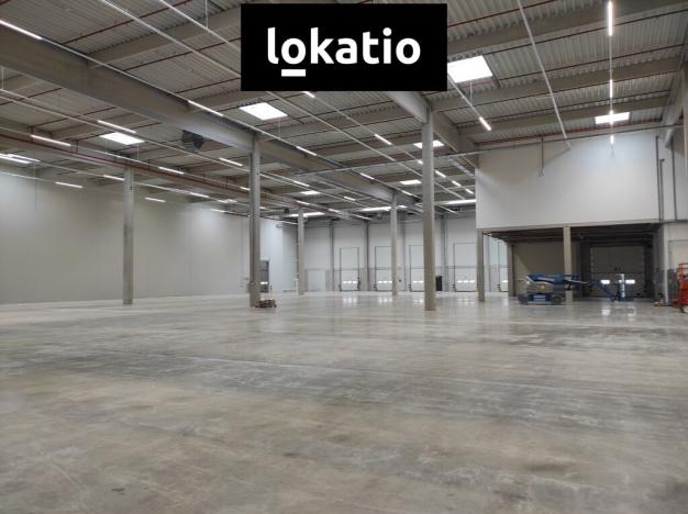 Pronájem skladu, Kozomín, 7420 m2