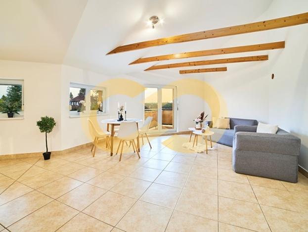 Prodej rodinného domu, Planá nad Lužnicí, Harrachova, 324 m2