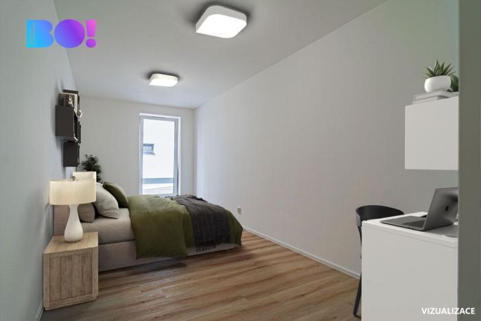 Prodej bytu 2+kk, Prostějov, Mlýnská, 105 m2