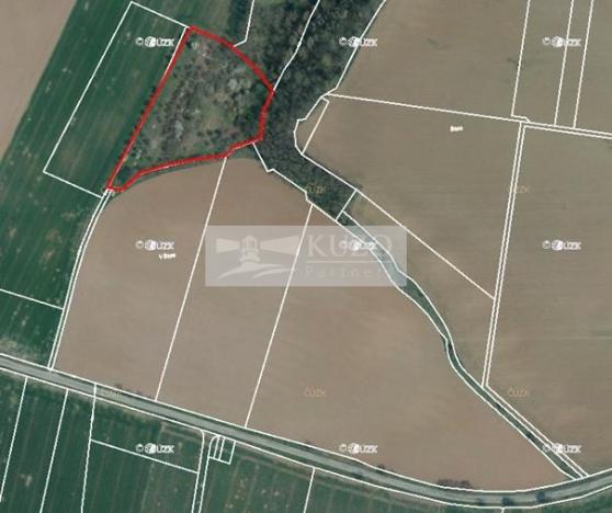 Prodej sadu/vinice, Velké Všelisy - Zamachy, 11900 m2