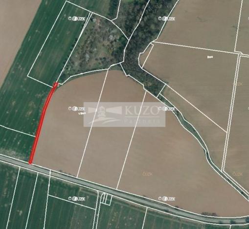 Prodej sadu/vinice, Velké Všelisy - Zamachy, 11900 m2