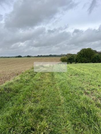 Prodej sadu/vinice, Velké Všelisy - Zamachy, 11900 m2