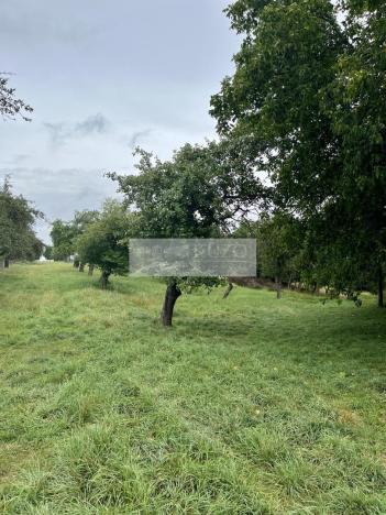 Prodej sadu/vinice, Velké Všelisy - Zamachy, 11900 m2