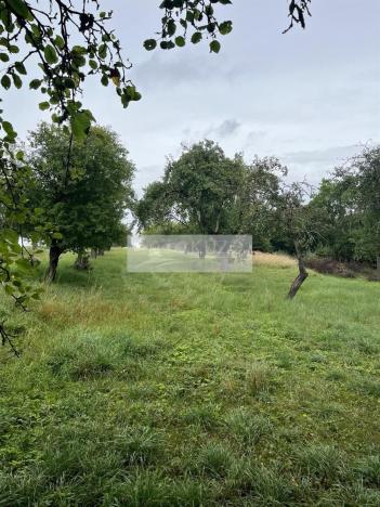 Prodej sadu/vinice, Velké Všelisy - Zamachy, 11900 m2