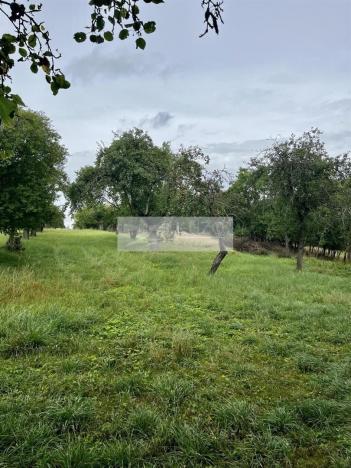 Prodej sadu/vinice, Velké Všelisy - Zamachy, 11900 m2