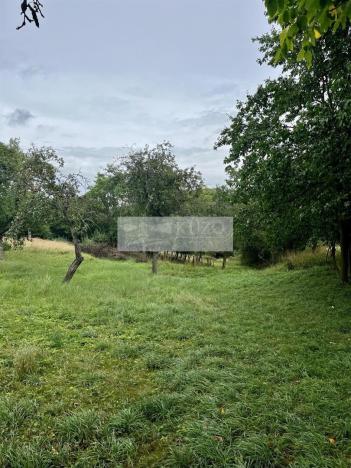 Prodej sadu/vinice, Velké Všelisy - Zamachy, 11900 m2