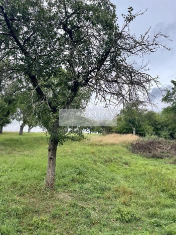 Prodej sadu/vinice, Velké Všelisy - Zamachy, 11900 m2