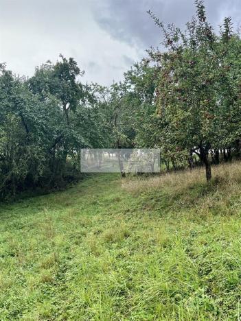 Prodej sadu/vinice, Velké Všelisy - Zamachy, 11900 m2