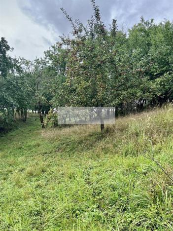 Prodej sadu/vinice, Velké Všelisy - Zamachy, 11900 m2