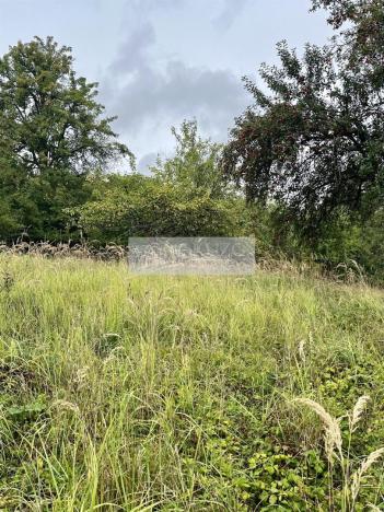 Prodej sadu/vinice, Velké Všelisy - Zamachy, 11900 m2