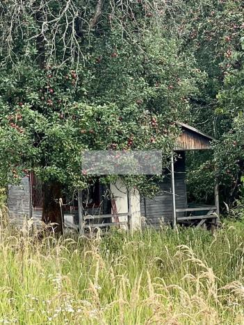 Prodej sadu/vinice, Velké Všelisy - Zamachy, 11900 m2