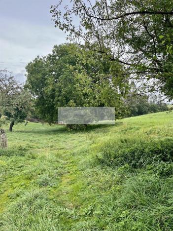 Prodej sadu/vinice, Velké Všelisy - Zamachy, 11900 m2