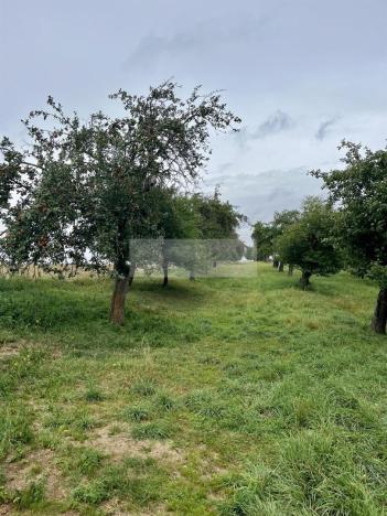 Prodej sadu/vinice, Velké Všelisy - Zamachy, 11900 m2