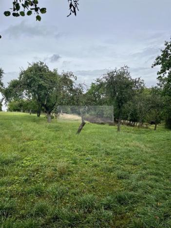 Prodej sadu/vinice, Velké Všelisy - Zamachy, 11900 m2