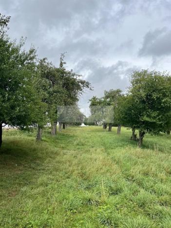 Prodej sadu/vinice, Velké Všelisy - Zamachy, 11900 m2