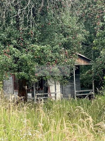 Prodej sadu/vinice, Velké Všelisy - Zamachy, 11900 m2