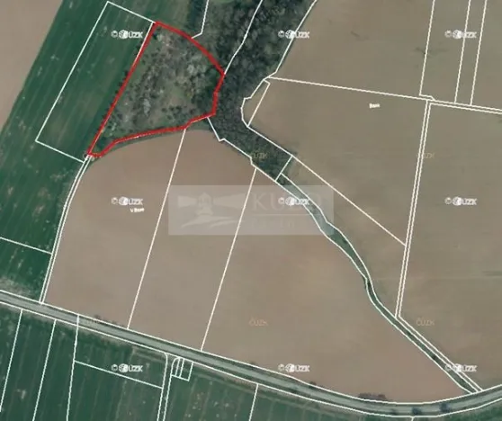 Prodej sadu/vinice, Velké Všelisy - Zamachy, 11900 m2