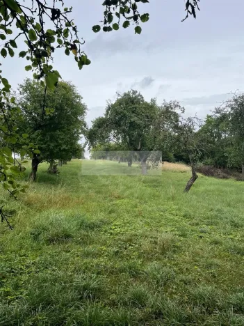 Prodej sadu/vinice, Velké Všelisy - Zamachy, 11900 m2