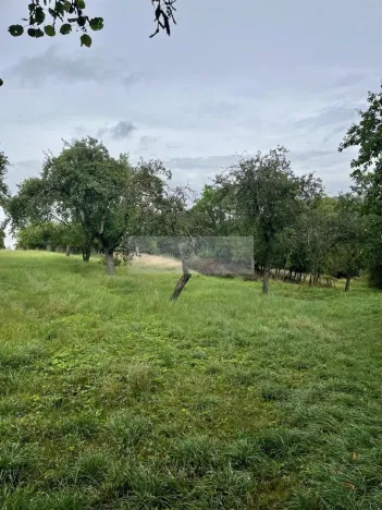 Prodej sadu/vinice, Velké Všelisy - Zamachy, 11900 m2