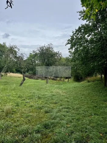 Prodej sadu/vinice, Velké Všelisy - Zamachy, 11900 m2