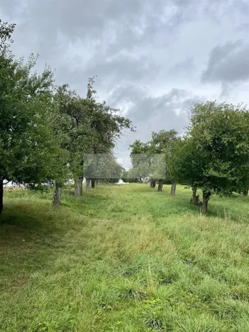 Prodej sadu/vinice, Velké Všelisy - Zamachy, 11900 m2