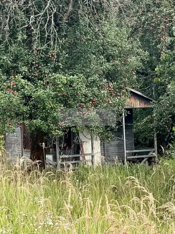 Prodej sadu/vinice, Velké Všelisy - Zamachy, 11900 m2