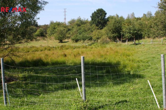 Prodej pozemku pro bydlení, Lety, 3676 m2