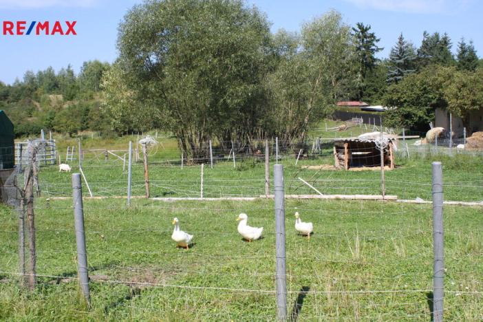 Prodej pozemku pro bydlení, Lety, 3676 m2