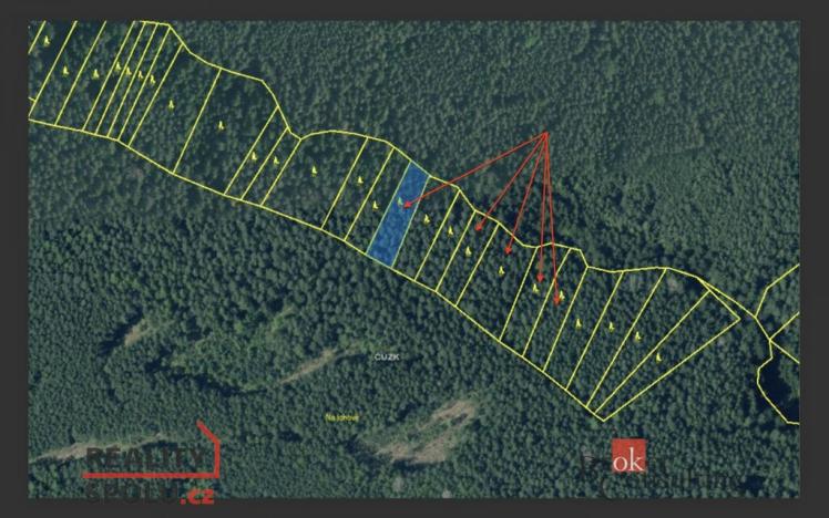 Prodej lesa, Česká Bříza, 7092 m2