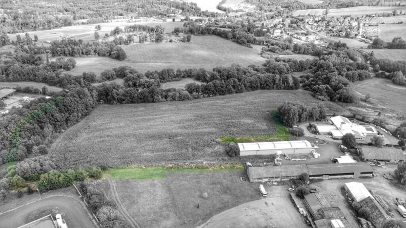 Prodej komerčního pozemku, Havlíčkův Brod - Mírovka, 4959 m2