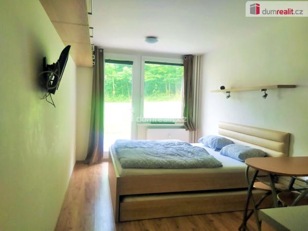 Pronájem bytu 1+kk, Všemina, 23 m2