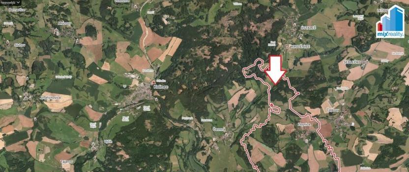 Prodej zahrady, Hrádek - Zbynice, 6582 m2