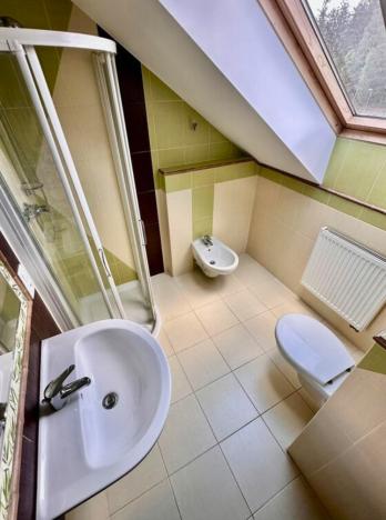 Prodej rodinného domu, Nová Role - Mezirolí, 310 m2