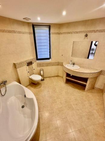 Prodej rodinného domu, Nová Role - Mezirolí, 310 m2