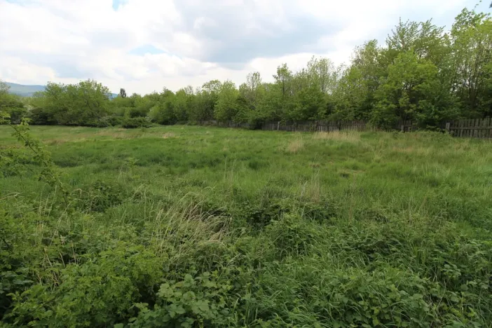 Prodej komerčního pozemku, Dubí, 30339 m2