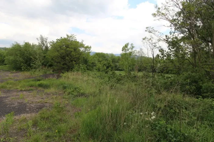 Prodej komerčního pozemku, Dubí, 30339 m2