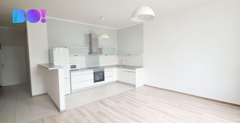 Pronájem bytu 2+kk, Ostrava - Vítkovice, Mírová, 70 m2