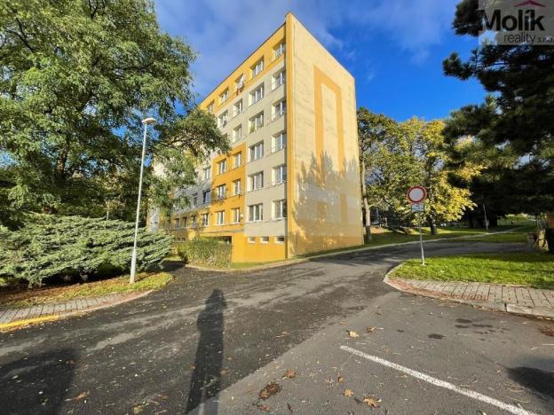 Pronájem bytu 1+kk, Litvínov - Horní Litvínov, Tylova, 27 m2