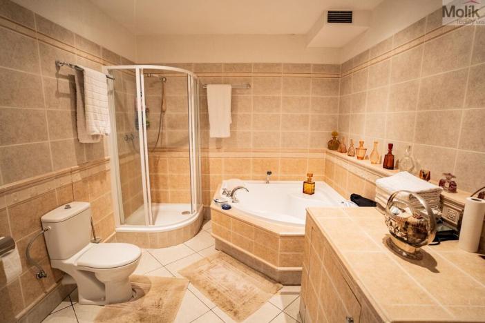 Prodej rodinného domu, Most, Albrechtická, 1224 m2