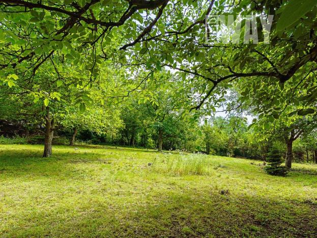 Prodej pozemku pro bydlení, Roztoky, V Úvoze, 3034 m2